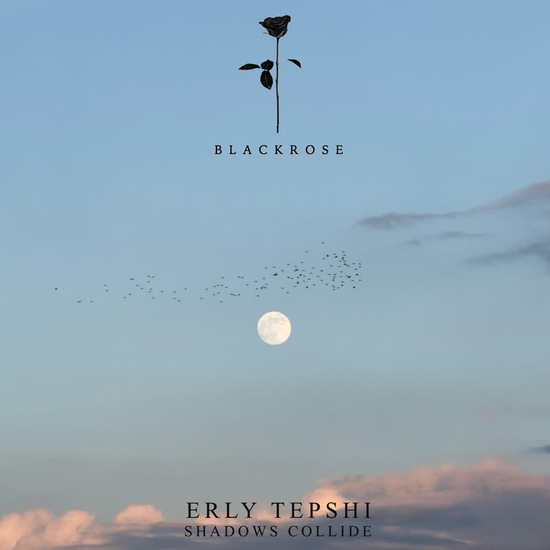 Erly Tepshi - Shadows Collide (Original Mix)