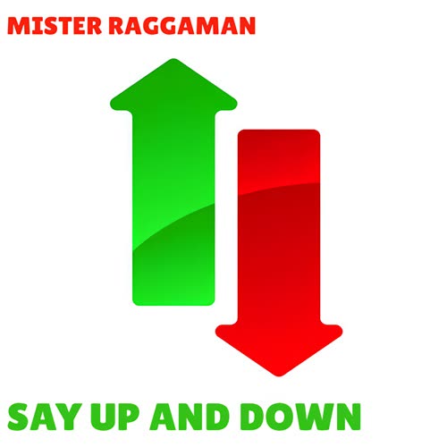 Mister RaggaMan - Say Up And Down ! (Original Mix)